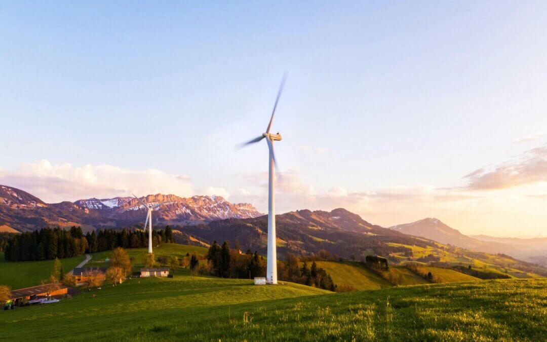 Eco-Friendly Summer Activities for Kids