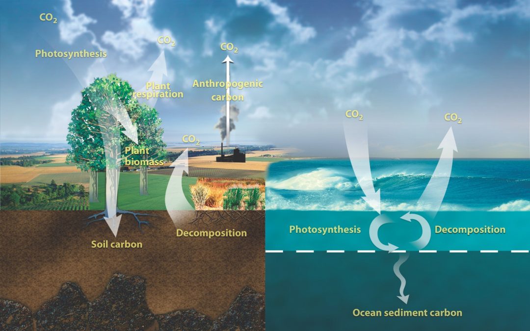 Can We Re-Balance the Global Carbon Cycle Before It’s Too Late?