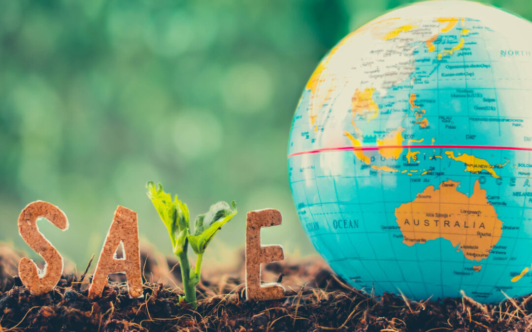 12 Ways to Help Save the Planet in 2021