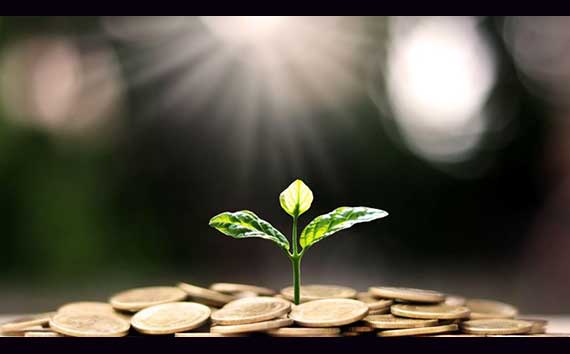 Carbon Finance Sustainabler Solution | Photo of Plant and Coins