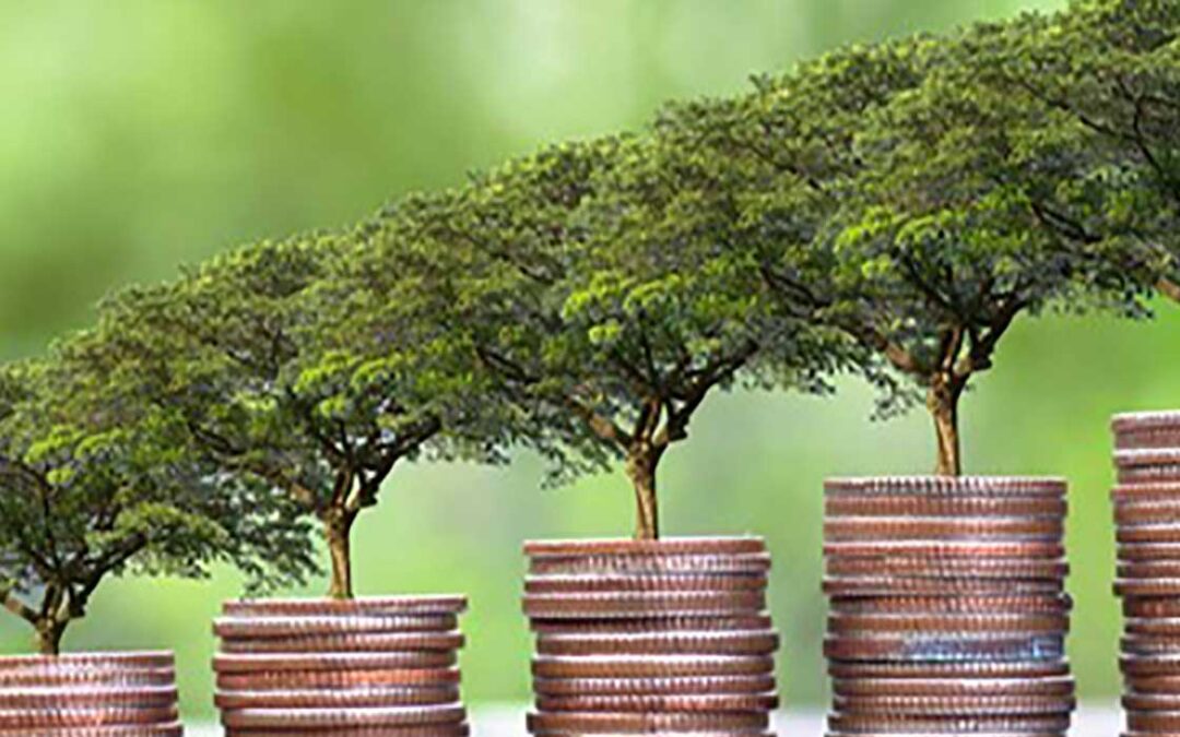 Green Finance: Understanding Sustainable Finance Options