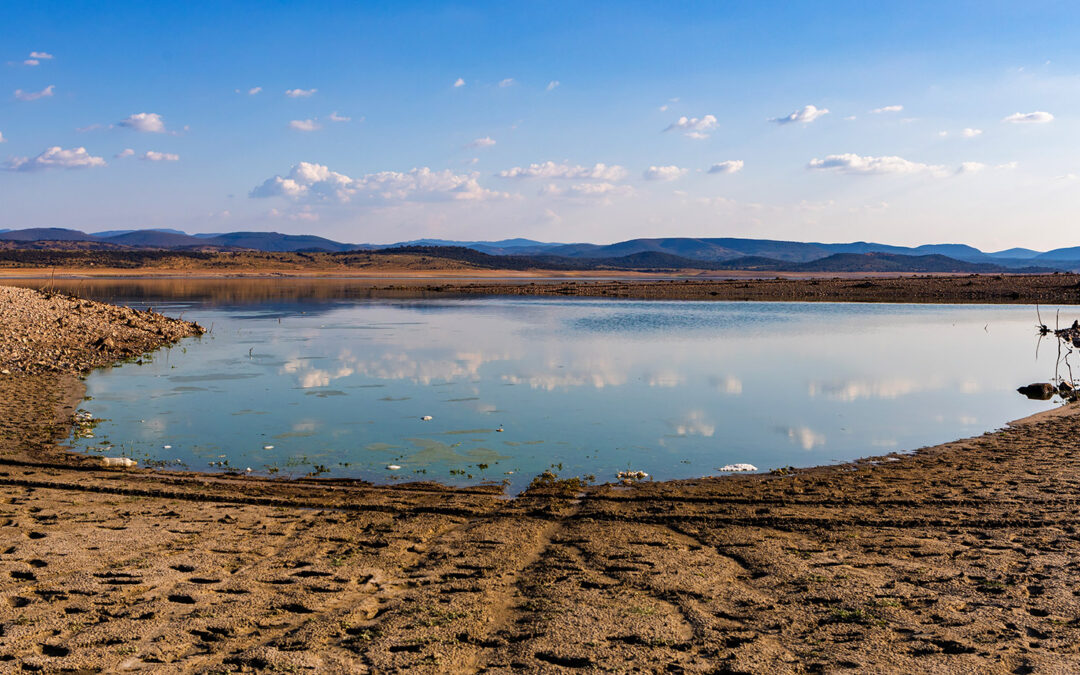 Overconsumption of Natural Resources: Causes, Effects & Solutions (2026)