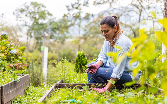 Woman Planting in Garden