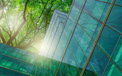Can You Make Money From Carbon Credits? 2026 Price Guide