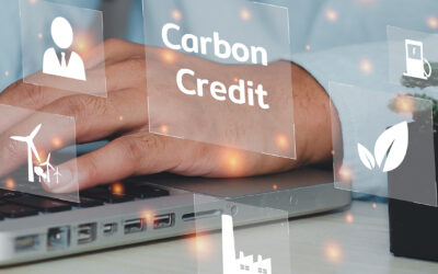 What Does the New VCMI Code Mean for Carbon Credit Usage?