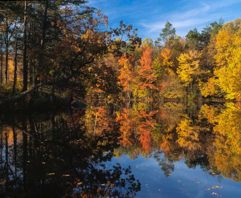 Hudson Farm Forestry Project