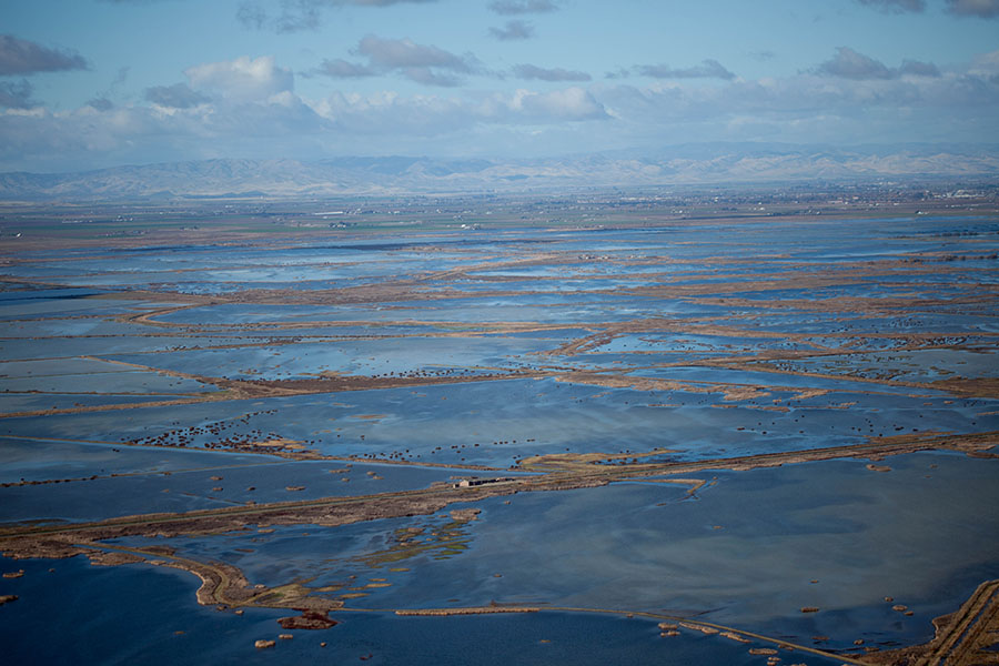 Merced County Seasonal Wetland Habitat