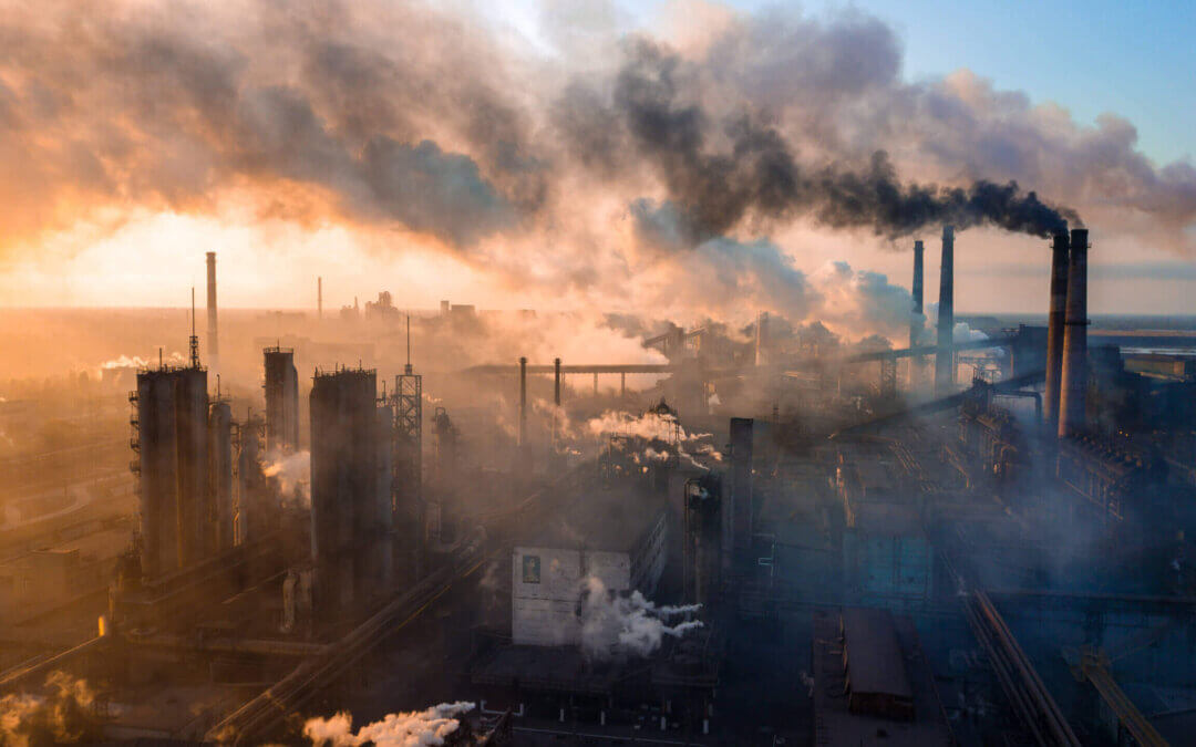 Ring in the New Year and Offset the Environmental Damage of 2016