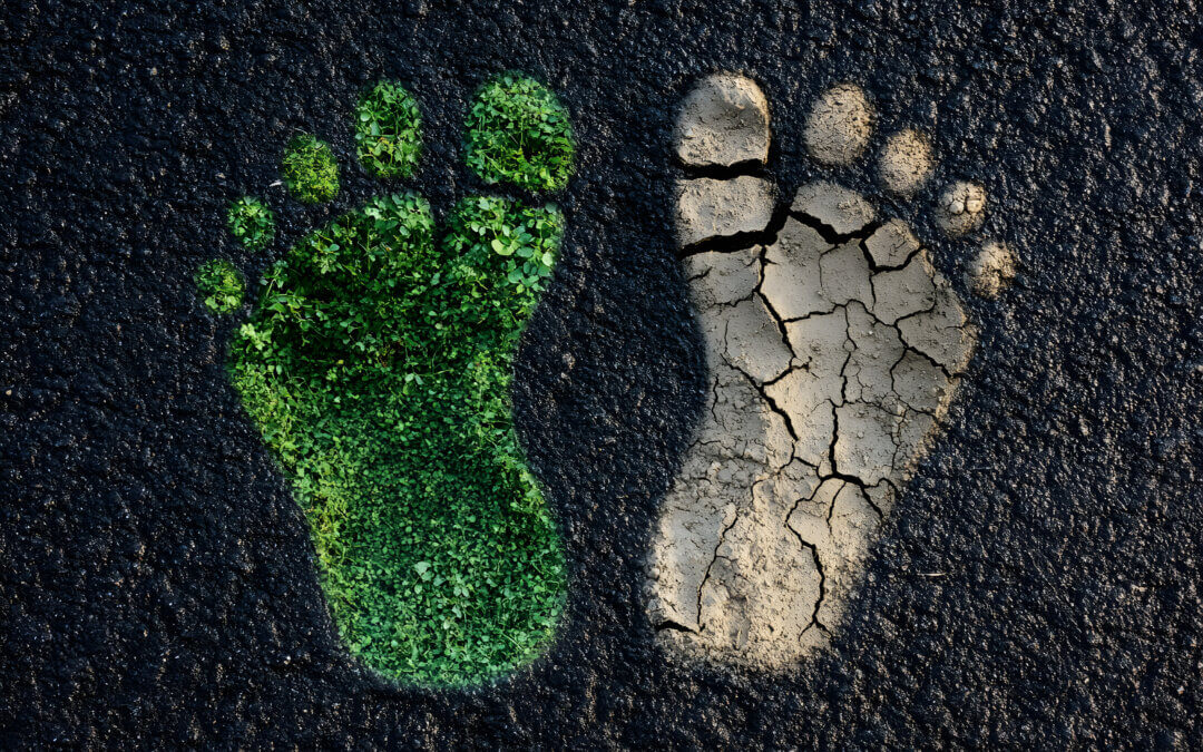 Does Your Personal Carbon Footprint Make a Difference?