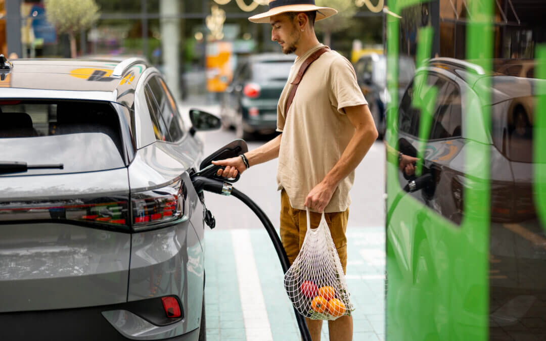 3 Affordable Ways to Help the Environment Within Your Control