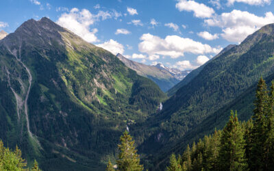 How Green-e® Certification Programs Ensure REC and Carbon Offset Buyers Get What They Pay For