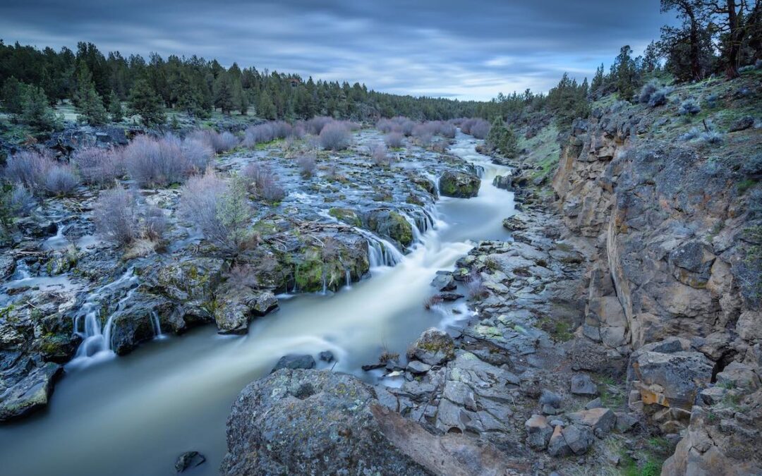 The 2026 Complete Guide to Water Credits (WRCs)