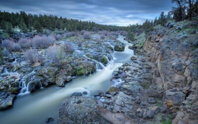 The 2026 Complete Guide to Water Credits (WRCs)