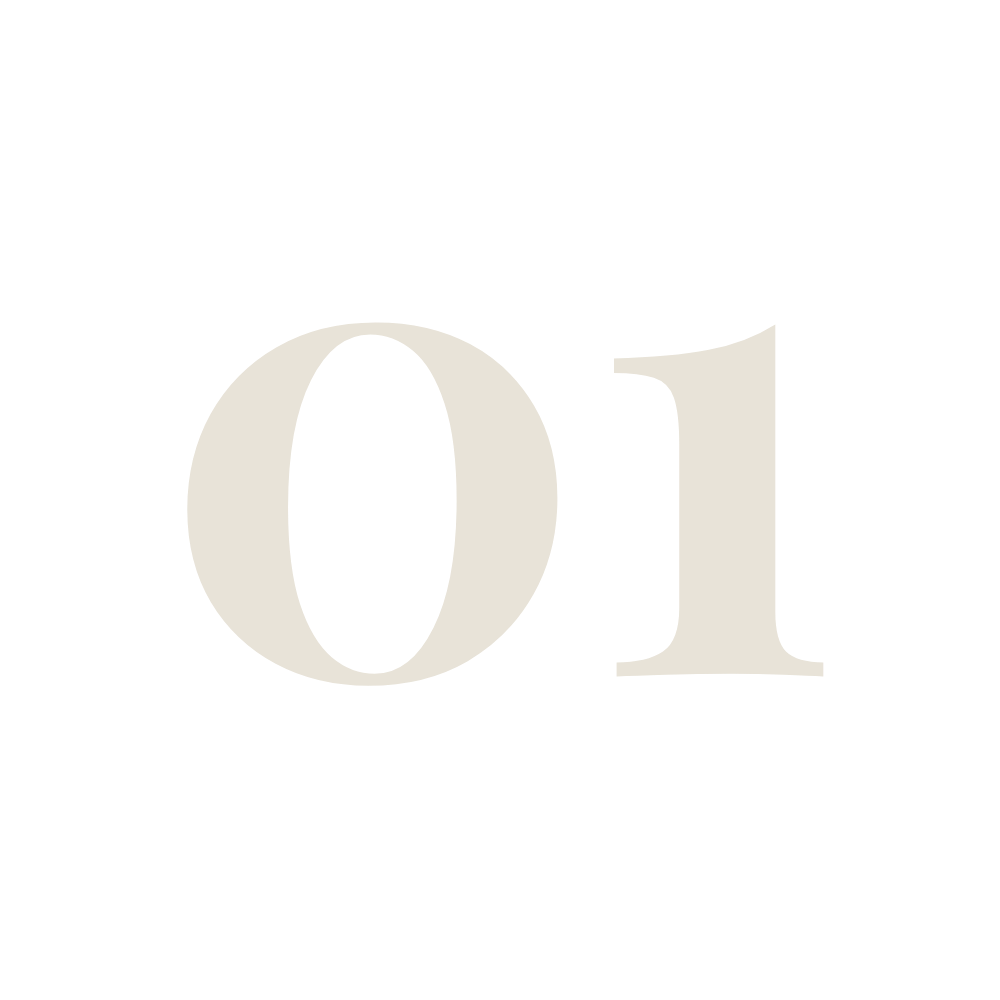8 1