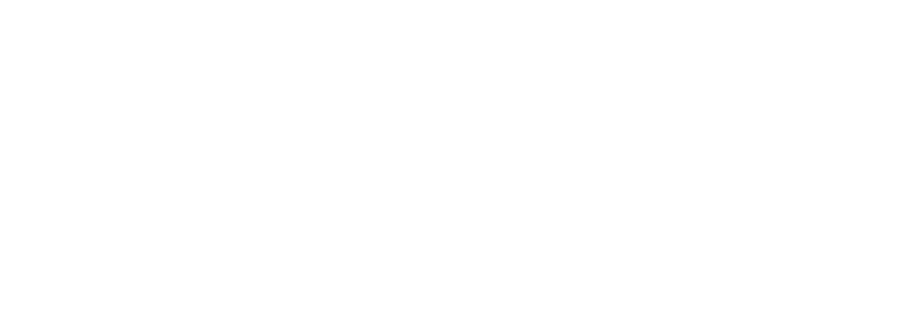 logo verra